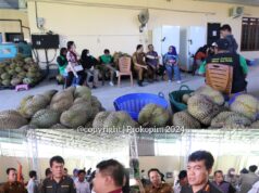 Kabarantin Sahat M. Panggabean Kunjungi Rumah Produksi Durian Parimo